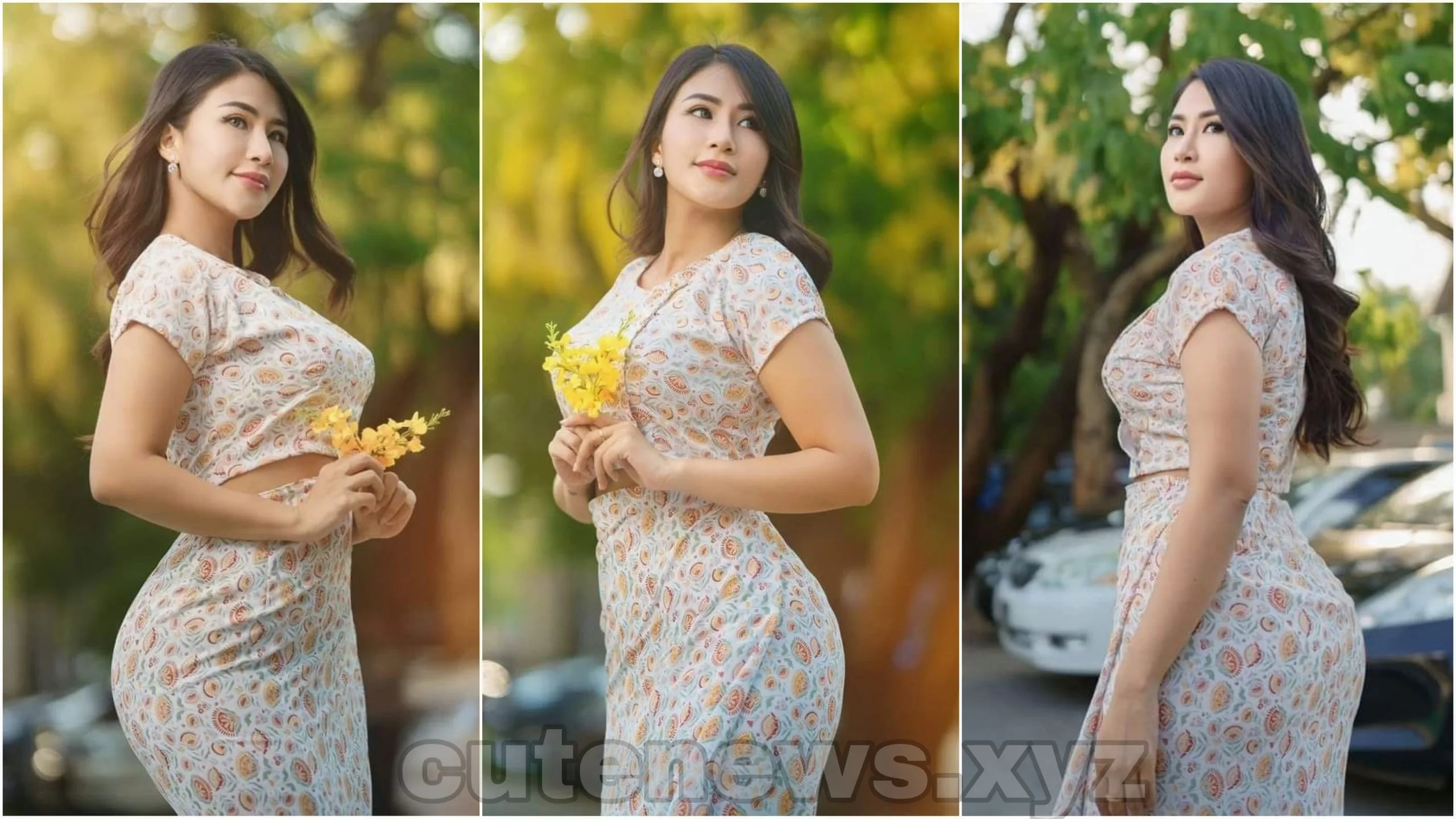 Myanmar Model