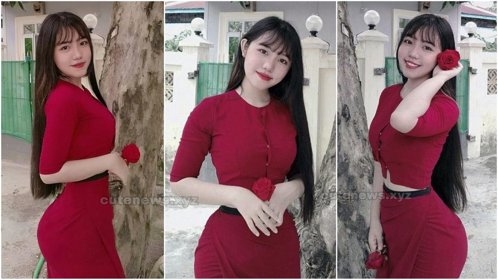 Myanmar Model